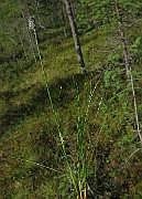IMG_4054