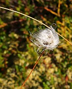 IMG_5913
