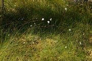 IMG_5914