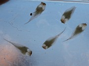 IMG_5972