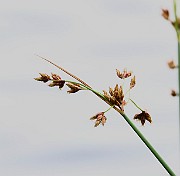 IMG_1103