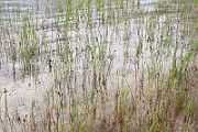 IMG_0714