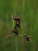 IMG_2582