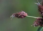IMG_2583