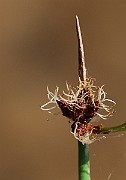 IMG_6235