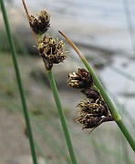 IMG_6820