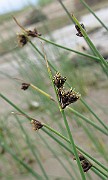 IMG_6823