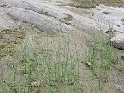 IMG_6825