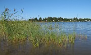 IMG_9647