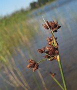 IMG_9651
