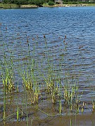IMG_9710