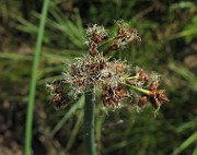 IMG_9718