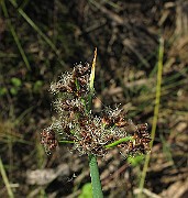 IMG_9720