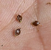 IMG_9797