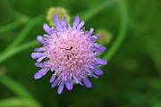 IMG_0259