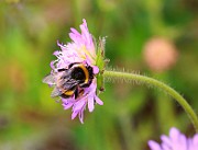 IMG_0271