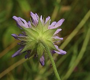 IMG_1120