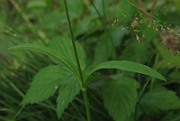 IMG_3561