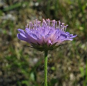 IMG_4292