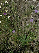 IMG_4294