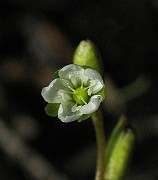 IMG_2063