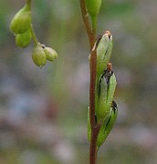 IMG_7282