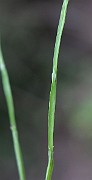 IMG_2564