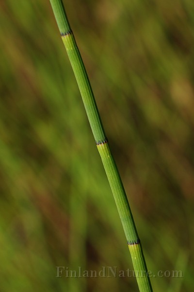 IMG_1389.JPG