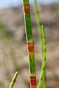 IMG_1392