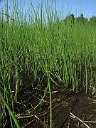 IMG_3830