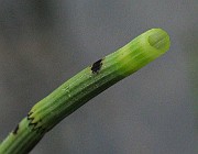 IMG_7280
