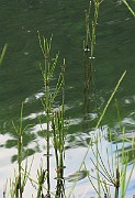 IMG_7281