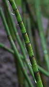 IMG_7501