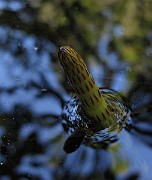 IMG_8838