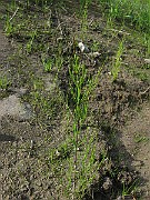 IMG_6132