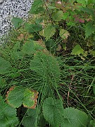 IMG_8048