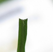 IMG_8049
