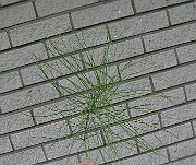 IMG_8052