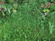 IMG_8059