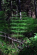 IMG_2508
