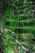 IMG_2510