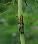 IMG_5497