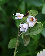 IMG_0302