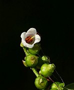 IMG_5984