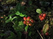 IMG_8580