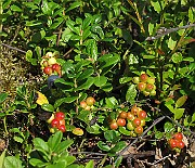 IMG_8582