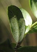 IMG_9188