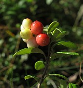 IMG_9189