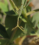 IMG_0046