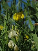 IMG_7686